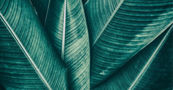 Initial Client Intake 